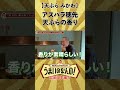 絶対食べて欲しい春の絶品! アスパラ 穂先天ぷらの香りを味わう #うまいのなんの #天ぷら #japanesefood #早乙女