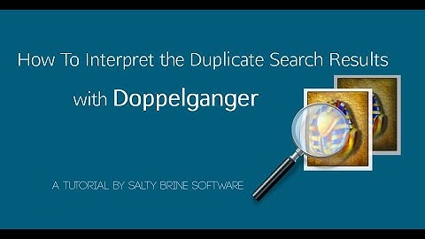 Doppelganger Tutorial 2: How To Interpret the Duplicate Search Results
