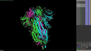 Pymol tutorial  Work on COVID Spike glycoprotein -Tutorial 1