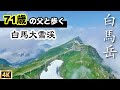 【白馬岳】白馬大雪渓とお花畑 白馬山荘小屋泊で1泊2日で白馬大池へ (猿倉〜栂池)夏の北アルプス ①前編
