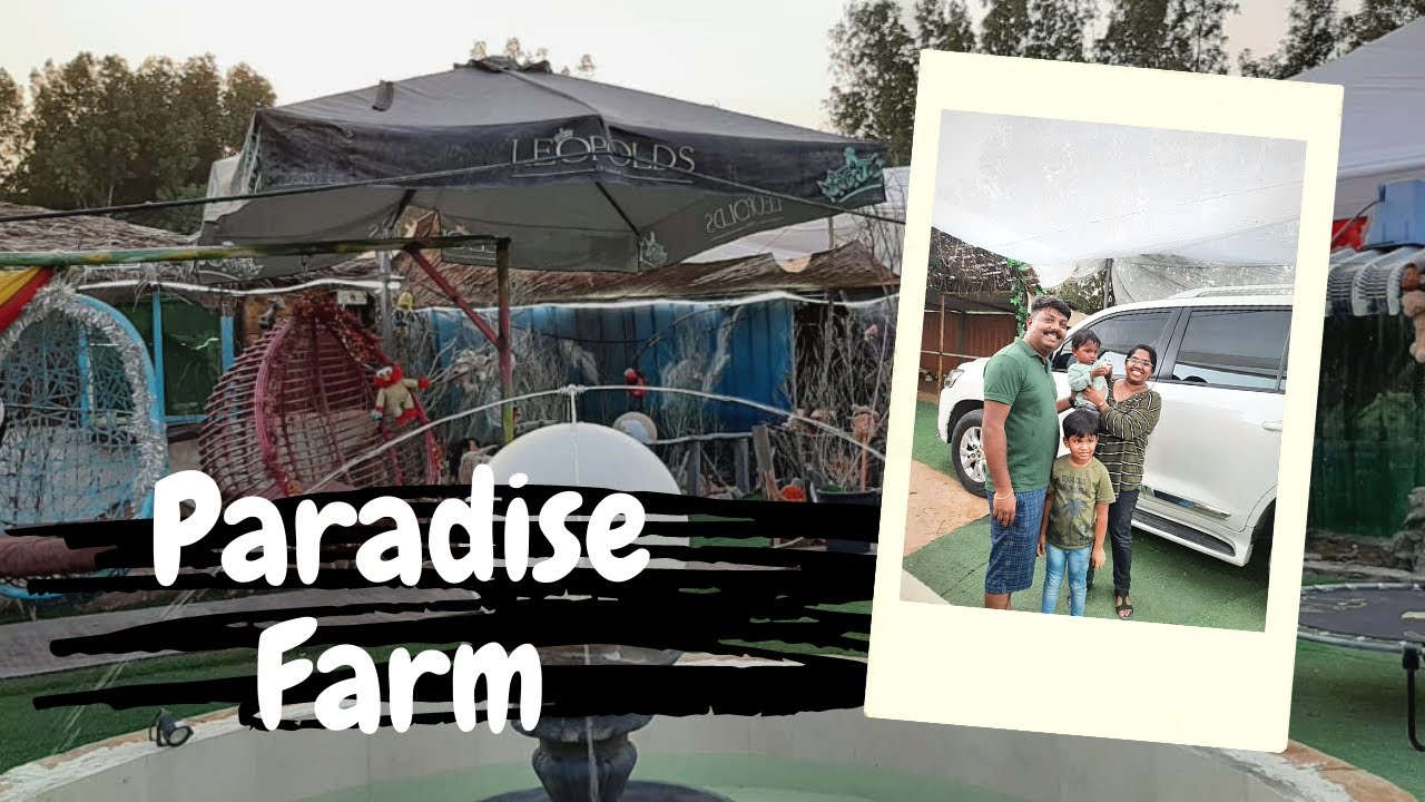 Paradise Farmhouse Ajman Farm stay in UAE Staycation in UAE