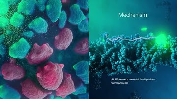 pH-Low Insertion Peptide Platform Technology for targeted delivery