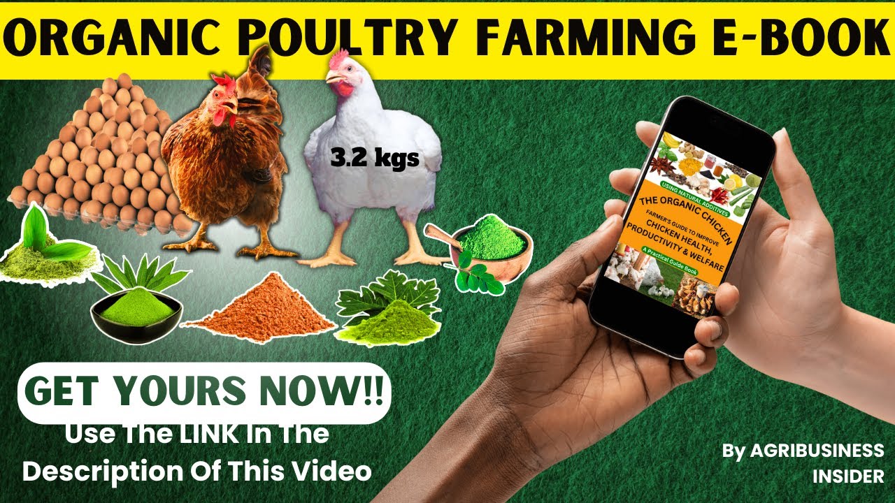 洋書 Nutrition and Feeding of Organic Poultry maxresdefault.jpg