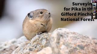 2022 Pika Survey Training