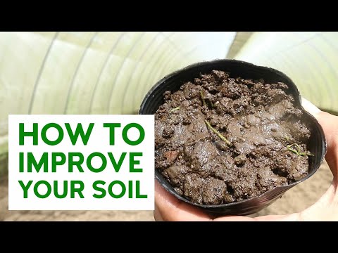 Video: Mga Palatandaan ng Compacted Soil - Paano Malalaman Kung Ang Lupa ay Compacted Sa Hardin