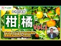 【徹底解説講座】果樹・柑橘類の収量アップのカギは開花プロセスの理解にあり！？柑橘栽培の成長メカニズムを解説！隔年結果のメカニズムも解説！温州みかん、伊予柑、かんきつ栽培者必見