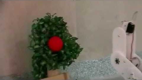 Caspian Robot,Tomato Picking Machine Vision Using with the Open CV