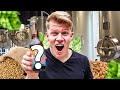 Mijn Eigen Bier Merk Brouwen!