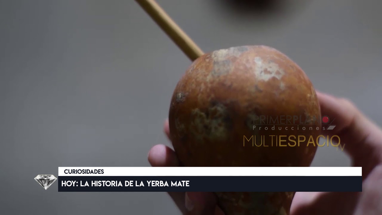 La historia de la YERBA MATE en Multiespacio TV