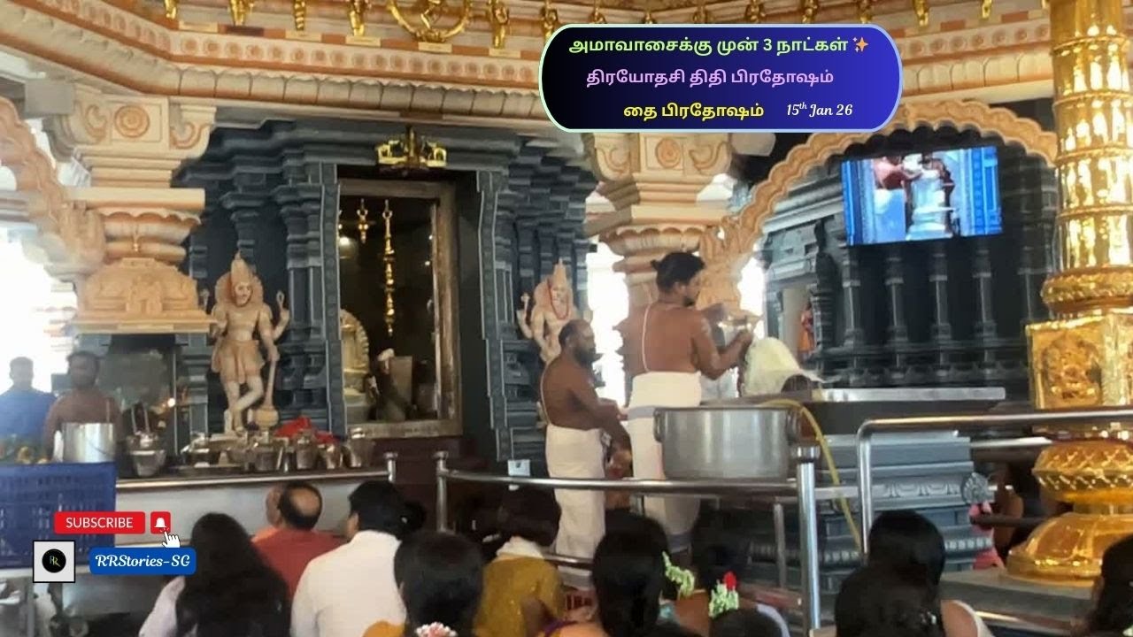 Vlog 424: அமாவாசைக்கு முன் 3 நாட்கள்✨திரயோதசி திதி பிரதோஷம்🔱தை பிரதோஷம் 🕉️🙏 சிவ அருள் பொங்கட்டும்