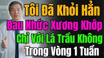 4 Bí Mật Sử Dụng Lá Trầu Không Giảm Đau Xương Khớp Tại Nhà Cực Kì Hiệu Quả Chỉ Sau 1 Tuần