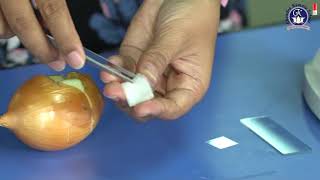 GRADE 6 - SCIENCE - LOOKING AT PLANT CELLS UNDER THE MICROSCOPE
