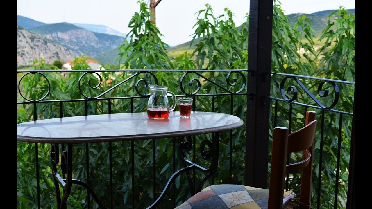 Kαλοκαίρι στο χωριό  - 2025