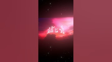 #سورة_النمل |القارئ:#محمد_اللحيدان ||#quran #المصحف #القرآن_الكريم #تلاوة_خاشعة #راحة_نفسية