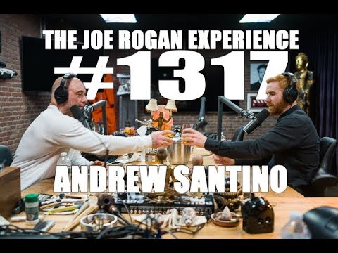 Joe Rogan Experience #1317 - Andrew Santino