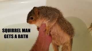 My Pet Squirrel Takes A Bath - SQUIRRELS - Cute Animals - PETS - Zoo At Home -