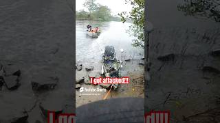 I got attacked while fishing!!Full video below! #karens #malekarens #goldcoast #hoons #riverhoons