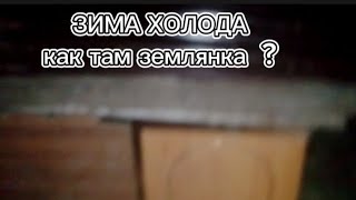 ЗИМА ХОЛОДА И НАША ЗЕМЛЯНКА СПУСТЯ 7- ДНЕЙ