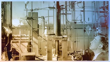 Students Ask: What If They Could Change The World?