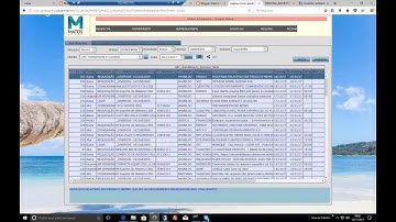 WINDEV - RELATORIO ANO E GRAFICO DESENVOVENDO AO VIVO