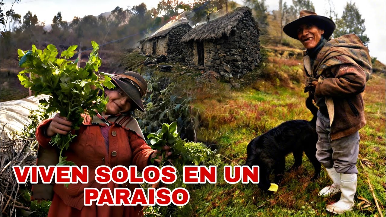 Esta PAREJA vive SOLA y feliz entre Cordilleras y Nubes ( En un PARAISO)