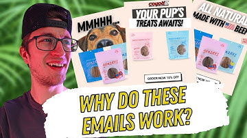 How To Set Up Replenishment Flow for Pet ECOMM Brands!