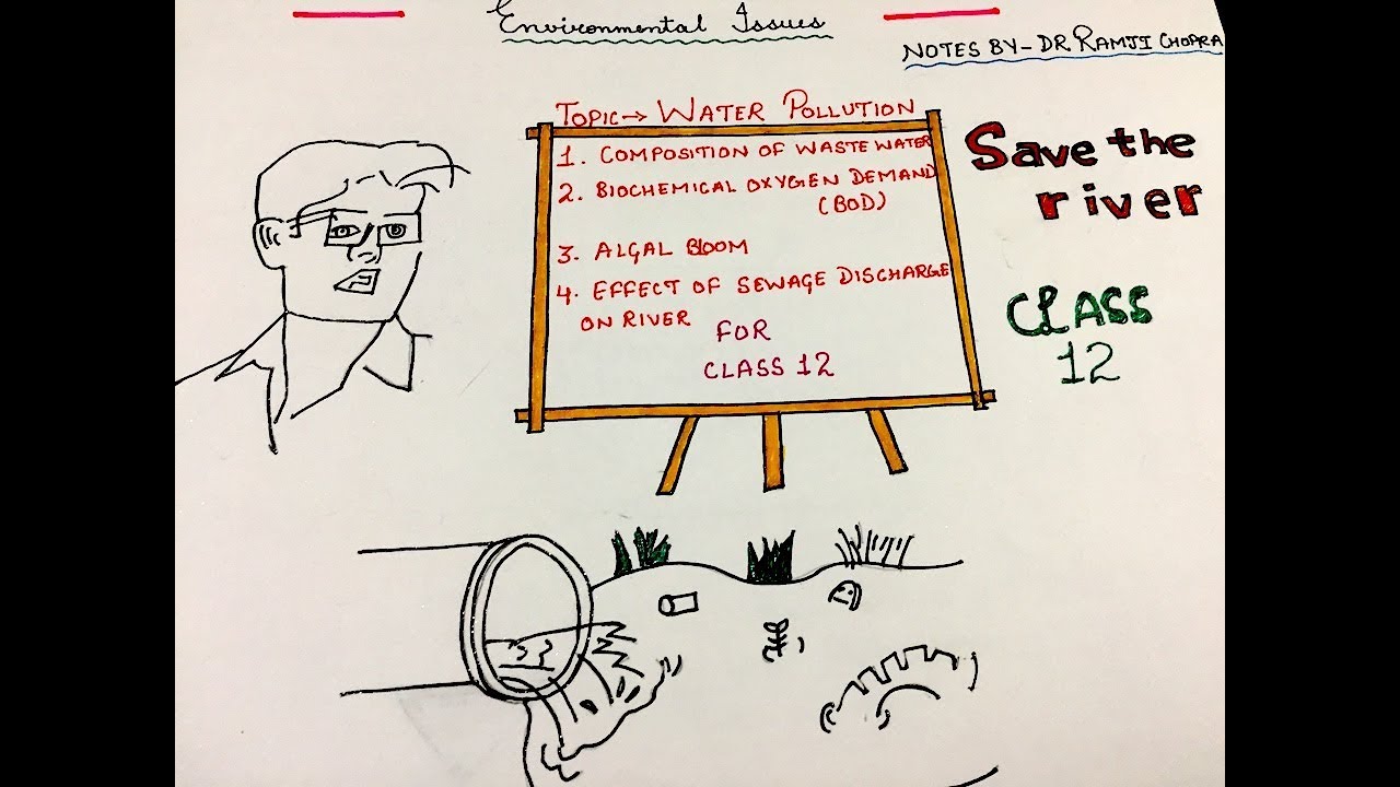 environmental issues (part-3).Ncert notes | biology | class 12 - YouTube
