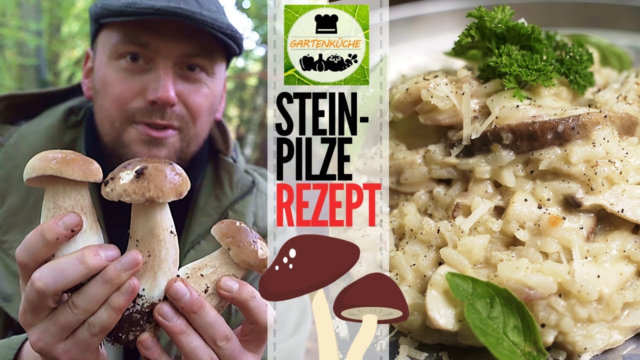 Risotto | Steinpilzrisotto | Pilzrisotto 🍄 Steinpilze im November finden und leckere Rezeptidee