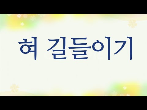혀 길들이기(진실한 입술과 거짓 혀), 잠언12:17-19, 로마연합교회 3분말씀