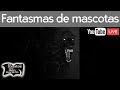 Fantasmas de mascotas | En vivo | Relatos del lado oscuro