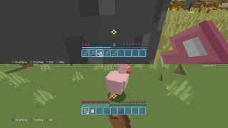 Minecraft Survival  sub4sub