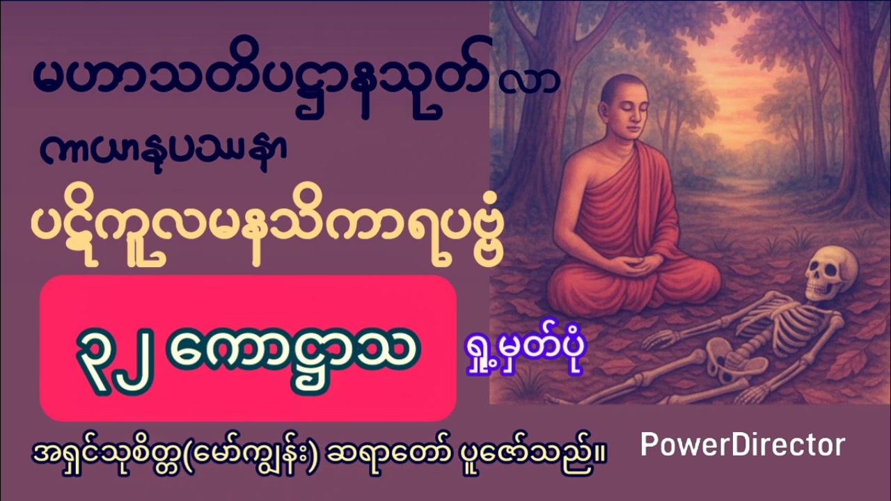 ၃၂ ကောဋ္ဌာသ ရှု့မှတ်ပုံ ။ အရှင်သုစိတ္တ
