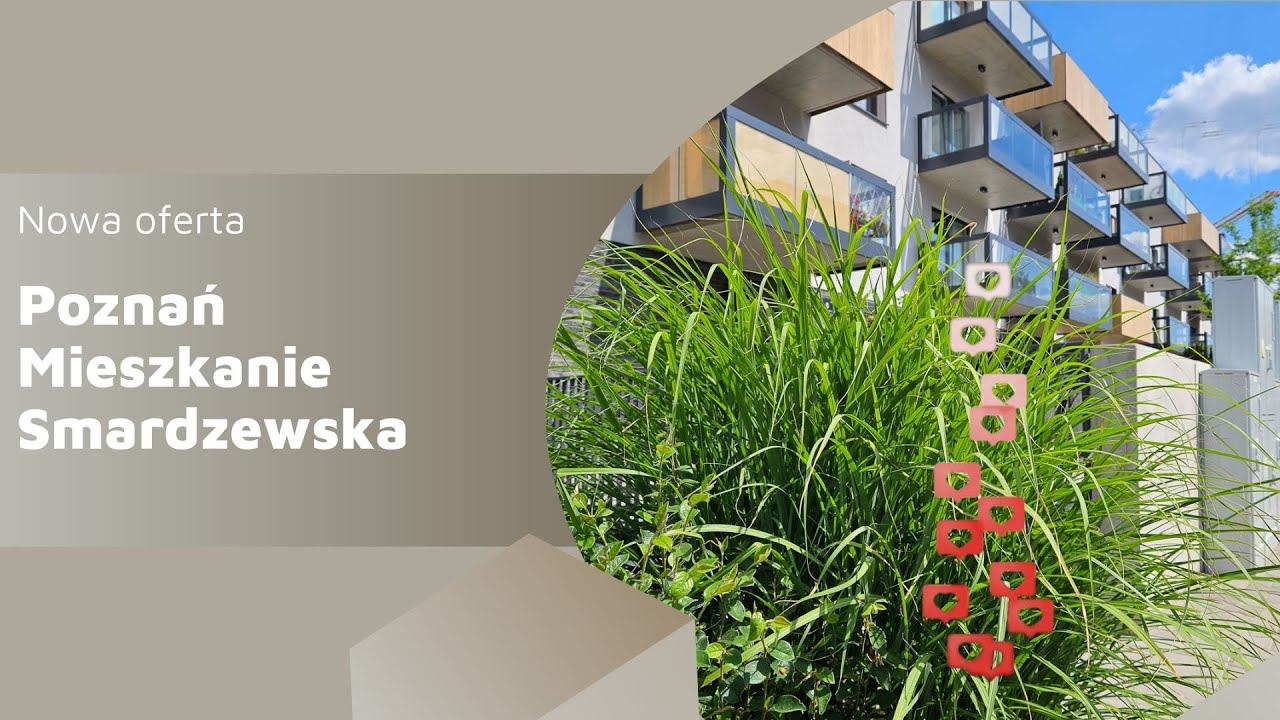 Mieszkanie do wynajmu Grunwald Smardzewska Poznań Real Estate 24 YouTube