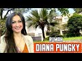 Rumah artis diana pungky jinny oh jinny pondok indah jakarta selatan  atta halilintar  pulau sumba