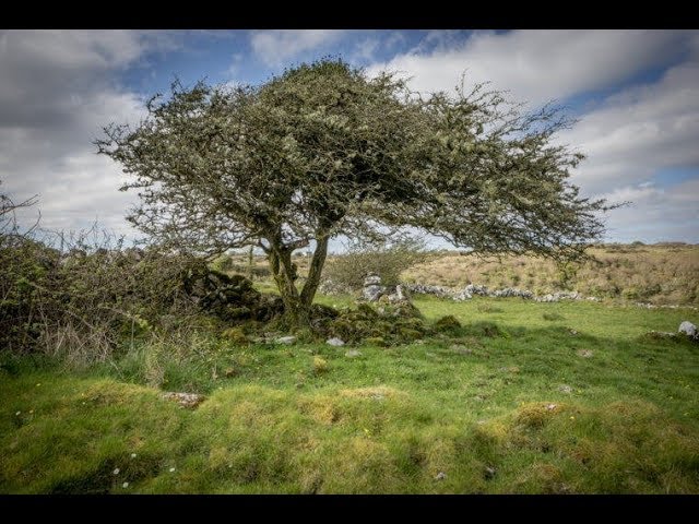 在 YouTube 上观看 John McCormack - The Fairy Tree (1930)