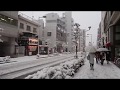 Tokyo's first snow 22.1.2018