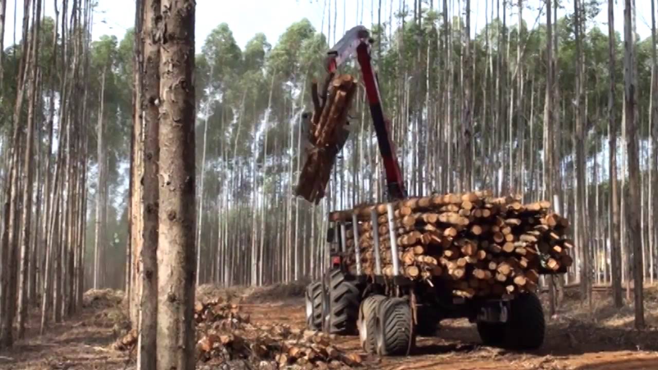 Trator Autocarregavel Evolution PenzSaur