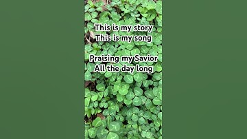 Thumbnail of This is my story, this is my song #blessedassurance #christianmusic #acousticworship #hymns #worship