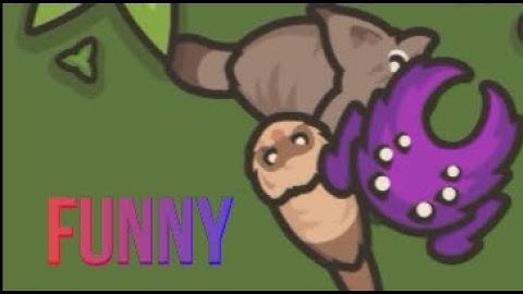 Taming io funny pets | new base ideas #taming ioskills #tamingiohowtoplay