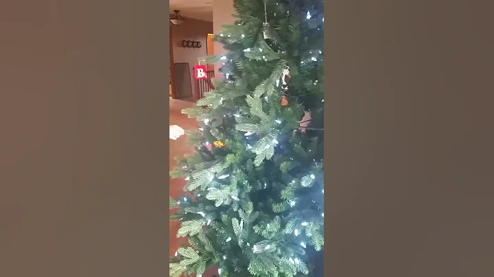 Santa's Best Christmas Tree