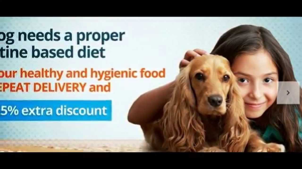 Online Pet Store free shipping over Rs. 499 YouTube