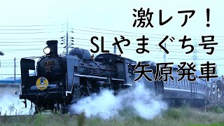 【乗り鉄】激レア！C571号機 矢原駅発車！