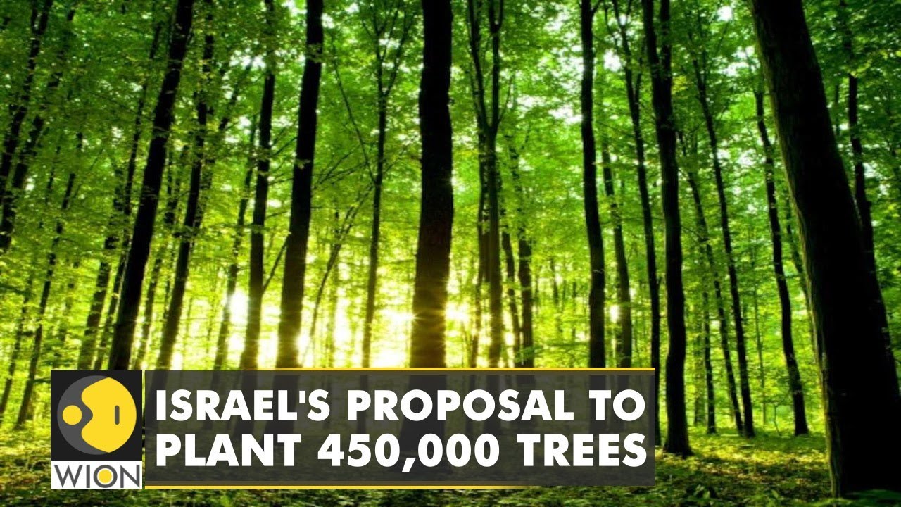 Israel agrees to plant 450,000 trees to tackle climate change | Latest English News | World News￼