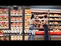 Therapeutic sr grocery shopping new sr finds asmr  cnv lifestyle