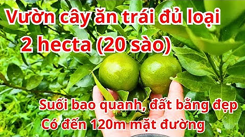 #294 Cần bán 2 hecta (20sào) vườn cây ăn trái có suối bao quanh. Mặt tiền 120m hiện hữu. Đất Bảo Lộc