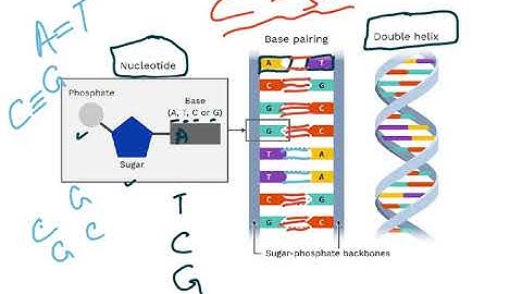 5090 CH 17 INHERITANCE SYLLABUS 2023 VIDEO 1
