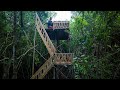 Girl Living Off The Grid, Build The Most Beautiful Bamboo Tree House Near My Village