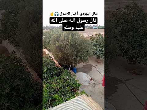 سال اليهود احبار الرسول صلى الله عليه وسلم قال احاديث دينيه دعاء