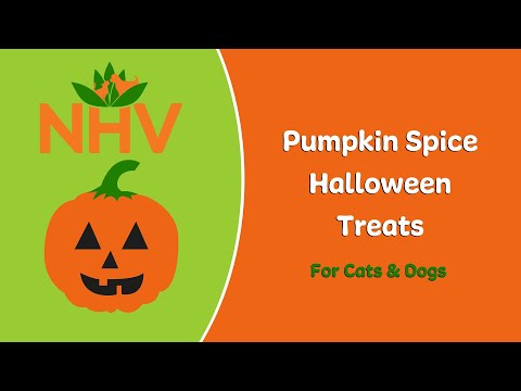 Halloween treats for cats &amp; dogs - How to make pumpkin spice cookies for pets!