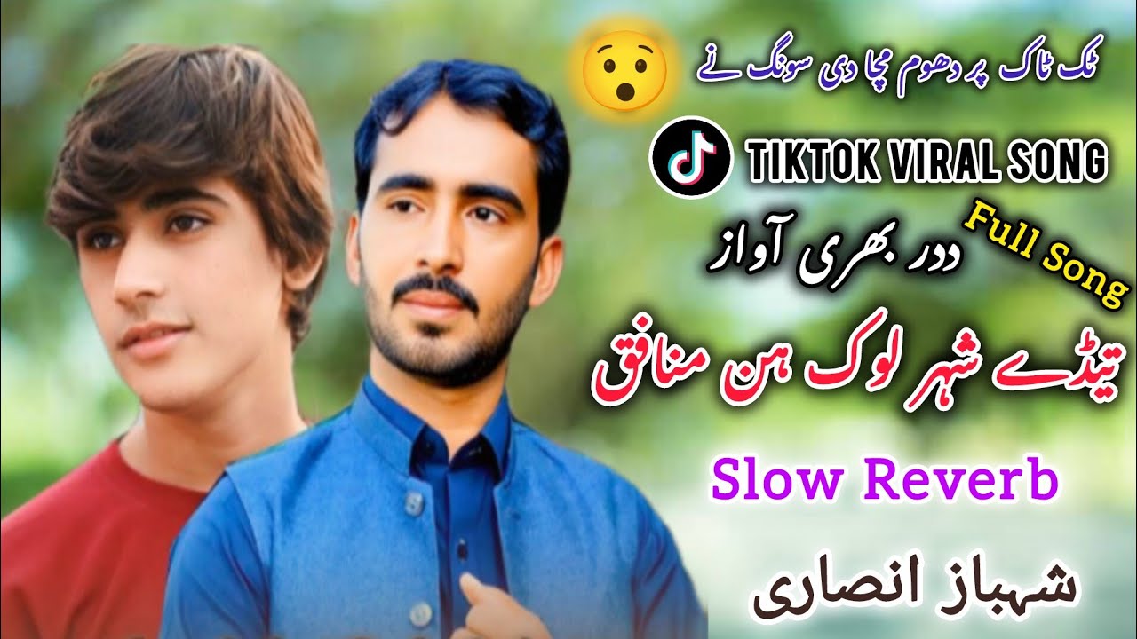 Asa Wal Na Walso Wala Taidi Wasti:Shahbaz Ansari تیڈے شہر لوک ہن منافق | TikTok Viral Song 2025